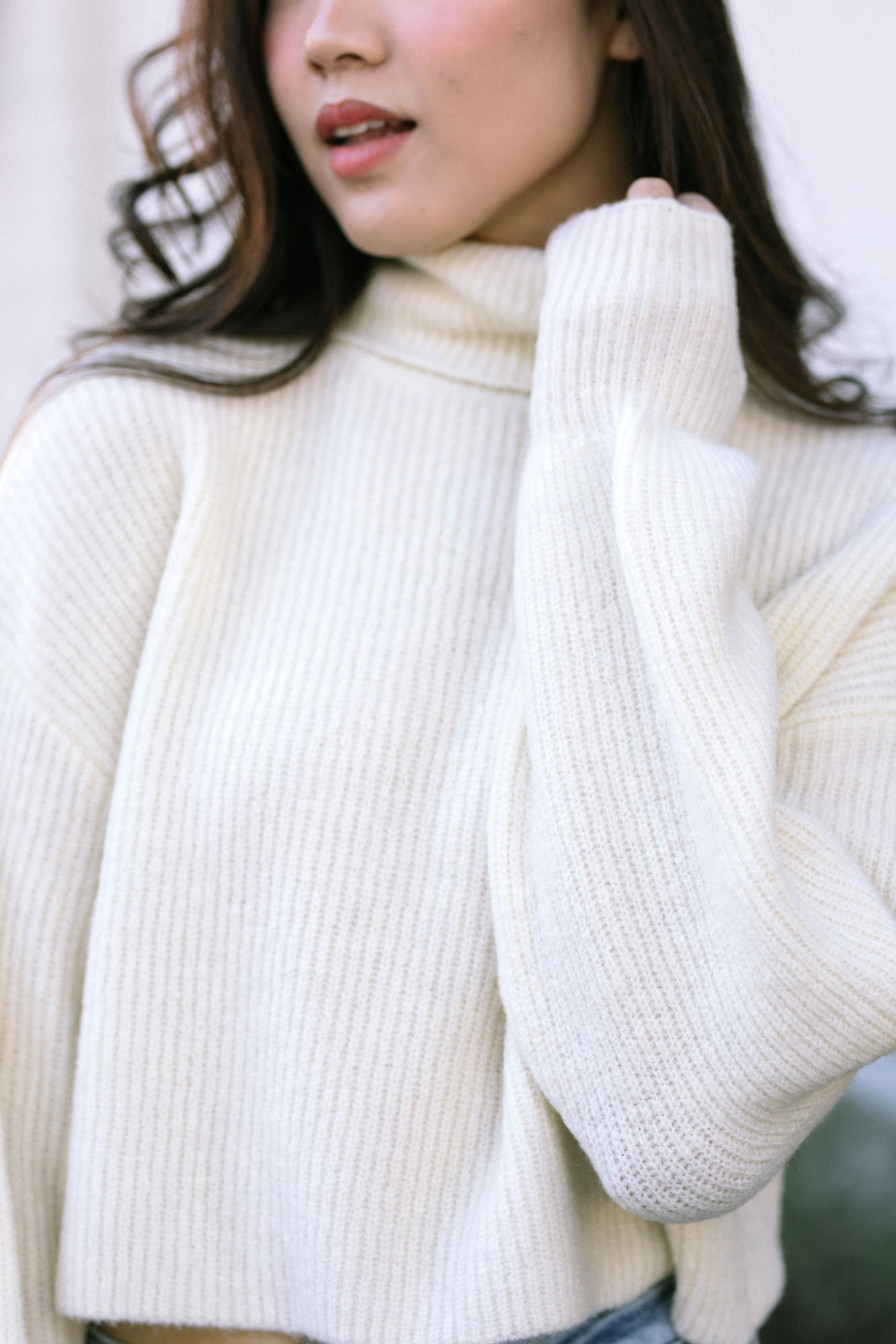 Eden Cropped Turtleneck Sweater