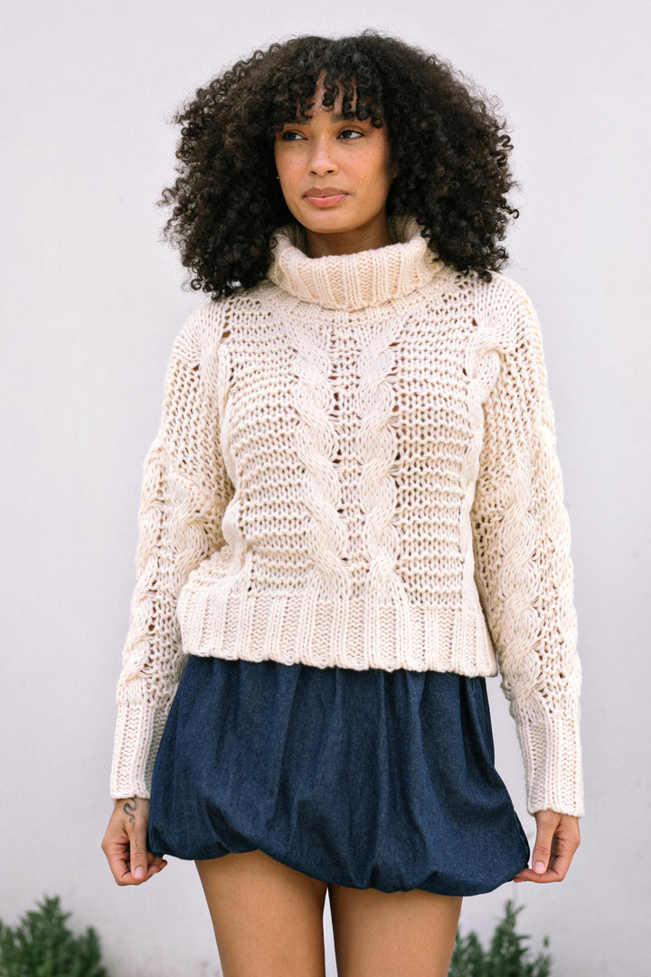 Lucinda Turtleneck Knit Sweater