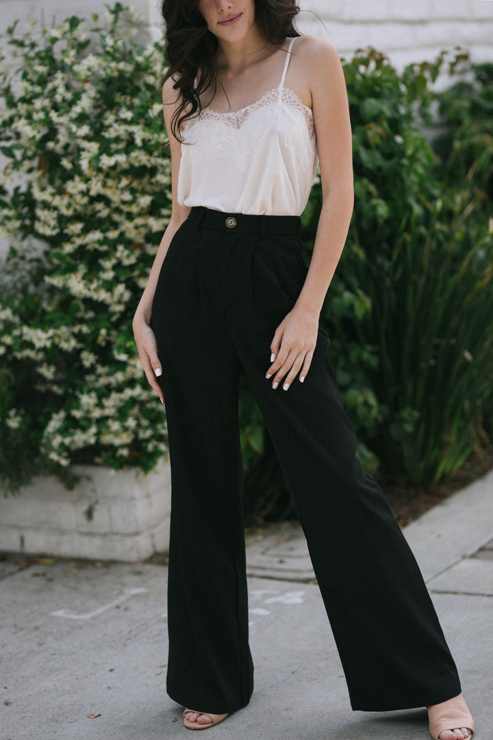Agnes Pleated Wide Pants Pants Aaron & Amber Black Small