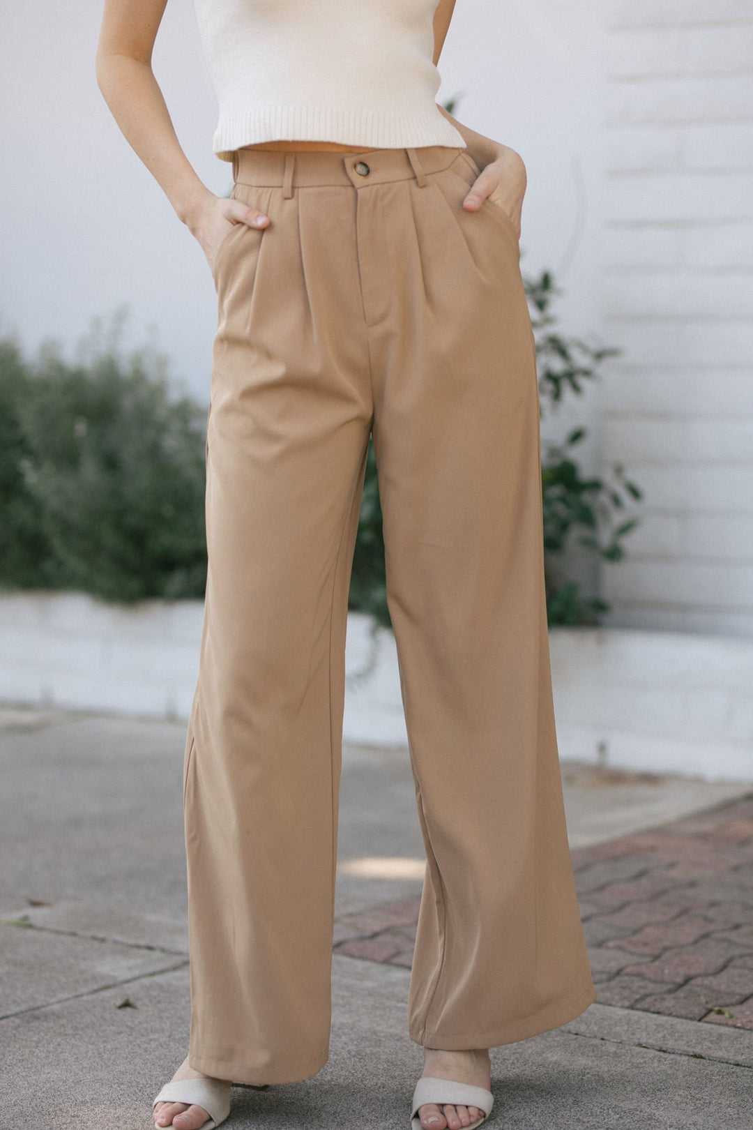 Agnes Pleated Wide Pants Pants Aaron & Amber Camel Small