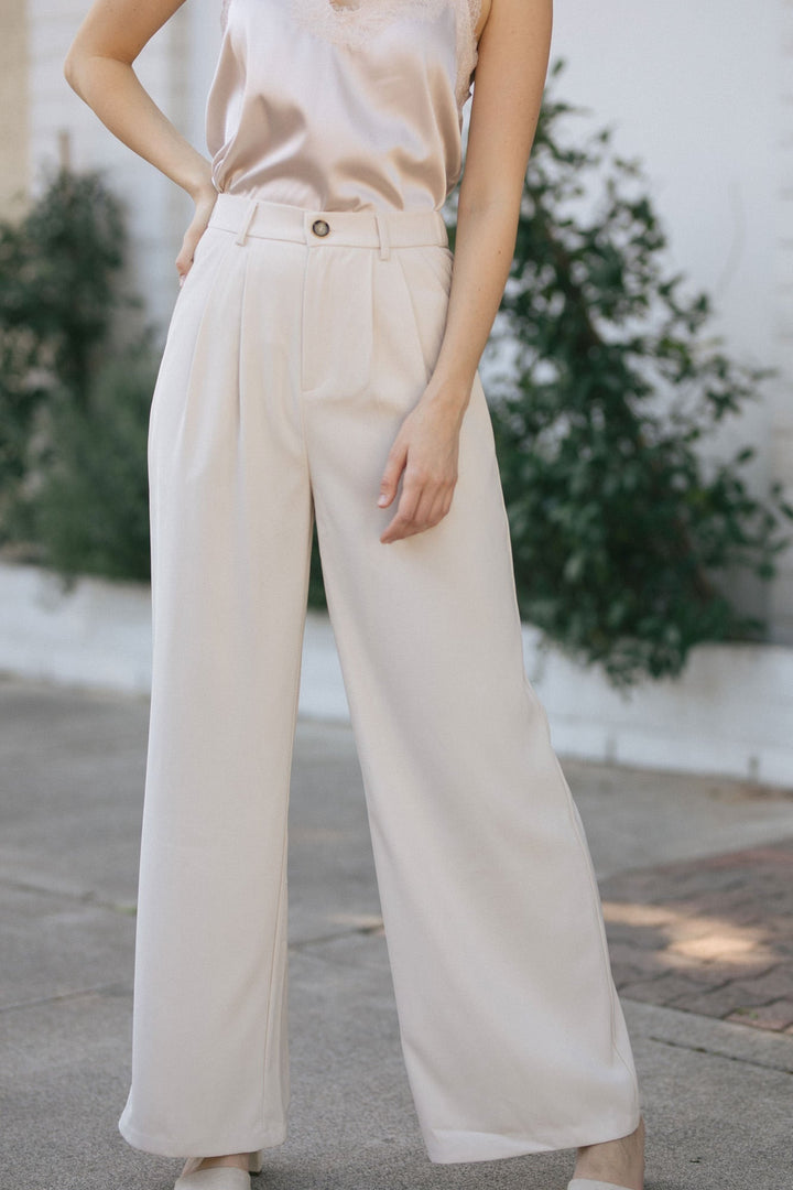 Agnes Pleated Wide Pants Pants Aaron & Amber Ivory Small