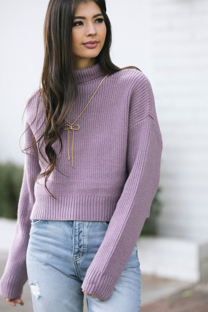Trish Cropped Turtleneck Sweater Sweaters Listicle 
